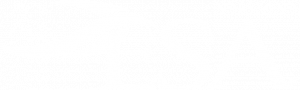 Elite Swimming Academy